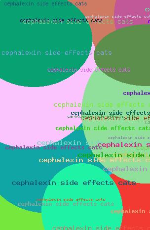 cephalexin side effects cats